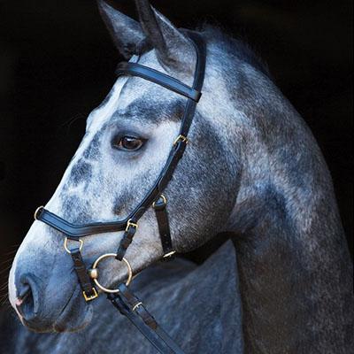 Cabezada Rambo Micklem multibridle original