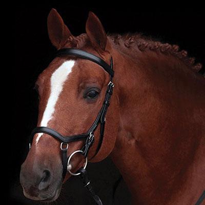 Cabezada Rambo Micklem 2 Competition bridle