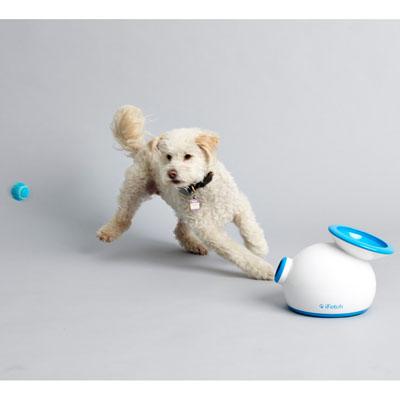iFetch Lanzador de Pelotas Perros, Color Blanco : : Productos para  mascotas